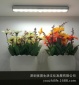 LED节能人体感应灯 衣柜厨柜卫生间楼道阳台家居光控电池小夜灯