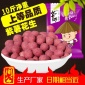 七十郎 紫薯花生10斤 裹衣五香花生米零食 坚果炒货散装 直批